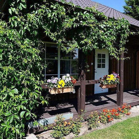 Kelluka Holiday House Pärispea Eksteriør billede