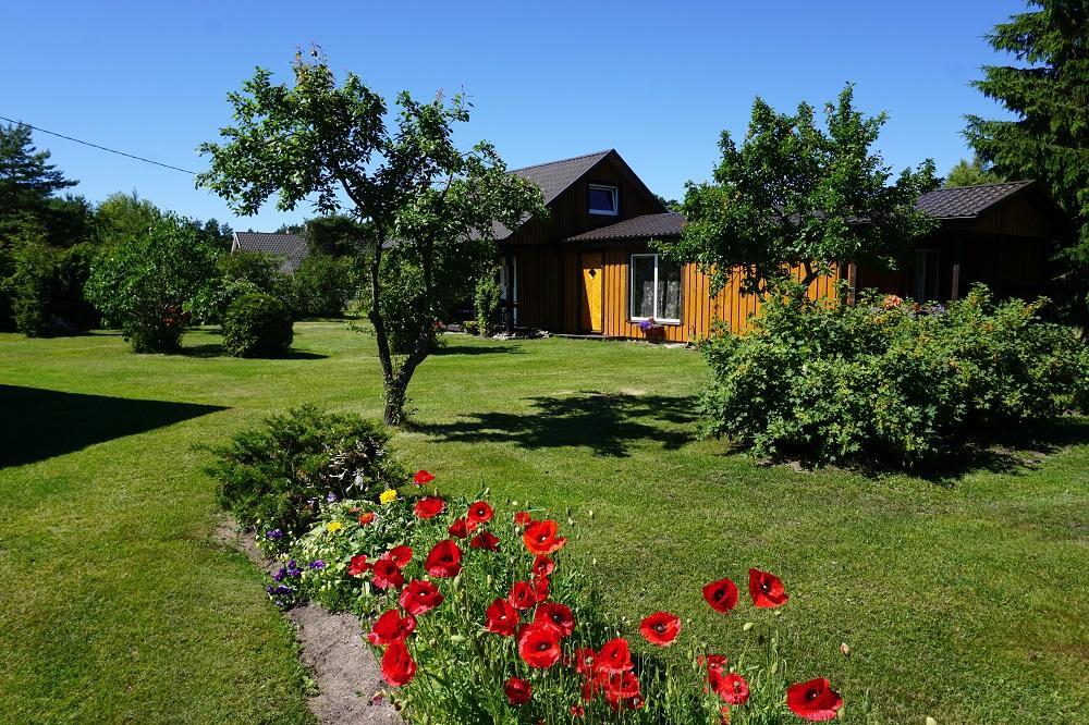 Kelluka Holiday House Pärispea Eksteriør billede